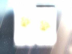 The Real Housewives of Salt Lake City S05E05 Whitney Drew and Her Clues 480p x264-mSD EZTV