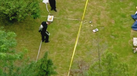 The Real Manhunter S01 WEBRip x264-ION10 EZTV