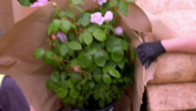 The Royal Borough Kensington And Chelsea S01E02 1080p WEB H264-CBFM EZTV