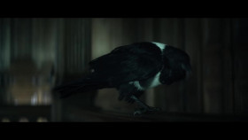 The Sandman S01E01 720p WEB h264-KOGi EZTV