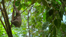 The Secret Lives of Animals S01E07 Making Friends 1080p ATVP WEB-DL DDP5 1 Atmos H 264-FLUX EZTV