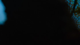 The Secret Lives of Animals S01E10 1080p WEB H264-LAZYCUNTS EZTV