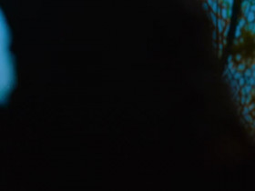 The Secret Lives of Animals S01E10 480p x264-mSD EZTV