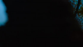 The Secret Lives of Animals S01E10 XviD-AFG EZTV