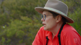 The Secret Lives Of Our Urban Birds S01E04 1080p HDTV H264-CBFM EZTV