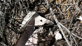 The Secret of Skinwalker Ranch S05E00 Behind the Gates The Fugal Factor 1080p HEVC x265-MeGusta EZTV