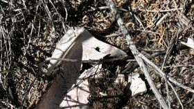 The Secret of Skinwalker Ranch S05E00 Behind the Gates The Fugal Factor 1080p WEB h264-EDITH EZTV