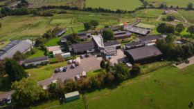 The Shelter Animal SOS S04E06 1080p WEB H264-CBFM EZTV