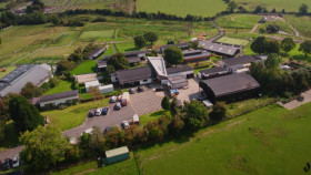 The Shelter Animal SOS S04E06 XviD-AFG EZTV