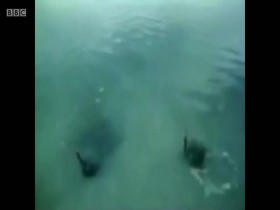 The Sound of TV with Neil Brand S01E02 480p x264-mSD EZTV