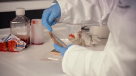 The Suitcase Murders S01E03 XviD-AFG EZTV