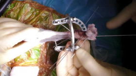 The Supervet Noel Fitzpatrick S19E01 XviD-AFG EZTV