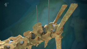 The Supervet S16E03 REAL XviD-AFG EZTV