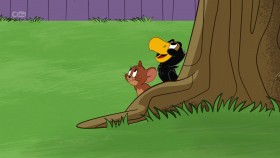 The Tom And Jerry Show S03E01 720p HDTV x264-PLUTONiUM EZTV