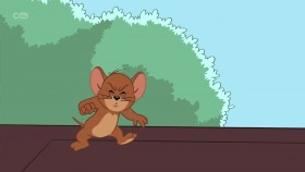 The Tom And Jerry Show S03E28 720p HDTV x264-PLUTONiUM EZTV