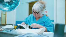 The Toy Hospital S01E01 1080p HDTV H264-DARKFLiX EZTV