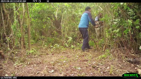 The Trackers Diary Tigers Of Nepal S01E03 1080p HEVC x265-MeGusta EZTV