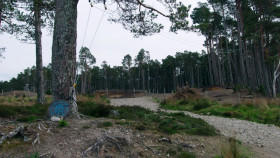 The Traitors 2023 S01E10 1080p HEVC x265-MeGusta EZTV