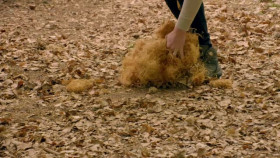 The Traitors UK S03E08 XviD-AFG EZTV