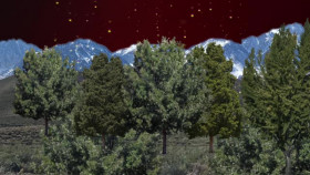 The UnBelievable with Dan Aykroyd S02E01 XviD-AFG EZTV