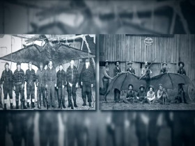 The UnXplained Special Presentation S01E15 480p x264-mSD EZTV