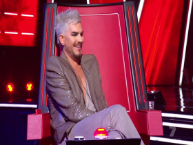 The Voice AU S13E02 480p x264-mSD EZTV