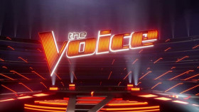 The Voice S21E02 XviD-AFG EZTV