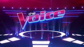 The Voice S24E14 1080p WEB h264-EDITH EZTV