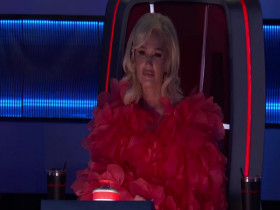 The Voice S26E14 480p x264-mSD EZTV