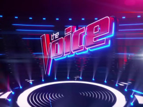 The Voice S26E16 480p x264-mSD EZTV