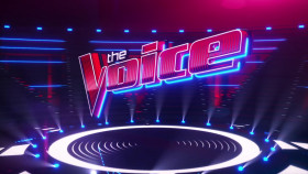 The Voice S26E16 720p WEB H264-SKYFiRE EZTV