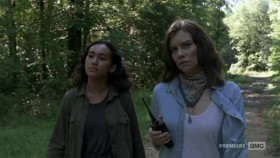 The Walking Dead S09E03 XviD-AFG EZTV