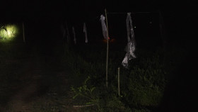 The Whole Story With Anderson Cooper S02E09 1080p WEB h264-EDITH EZTV