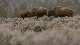 The Whole Story With Anderson Cooper S02E22 1080p HEVC x265-MeGusta EZTV