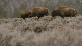 The Whole Story With Anderson Cooper S02E22 1080p WEB h264-EDITH EZTV