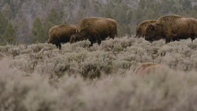 The Whole Story With Anderson Cooper S02E22 XviD-AFG EZTV