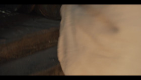 The Winter King S01E02 1080p x265-ELiTE EZTV