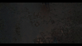 The Winter King S01E10 Episode Ten 1080p AMZN WEB-DL DDP5 1 H 264-ACEM EZTV