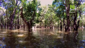 The Worlds Most Beautiful Landscapes S01E04 XviD-AFG EZTV