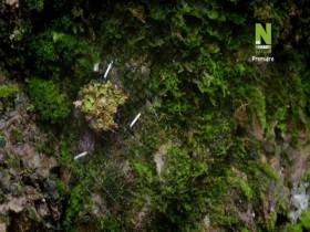 The Worlds Most Beautiful Landscapes S01E05 480p x264-mSD EZTV