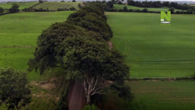 The Worlds Most Beautiful Landscapes S01E07 720p HEVC x265-MeGusta EZTV