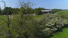 The Yorkshire Vet At Home With The Greens S01E01 1080p WEB H264-CBFM EZTV