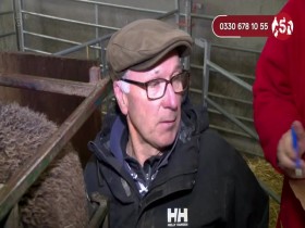 The Yorkshire Vet S09E00 12 Days Of Christmas For Help The Animals Special 480p x264-mSD EZTV
