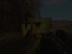 The Yorkshire Vet S10E07 480p x264-mSD EZTV