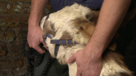 The Yorkshire Vet S15E02 XviD-AFG EZTV