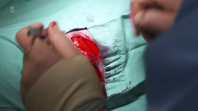 The Yorkshire Vet S15E04 1080p HEVC x265-MeGusta EZTV