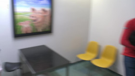 The Yorkshire Vet S18E10 1080p HDTV H264-DARKFLiX EZTV