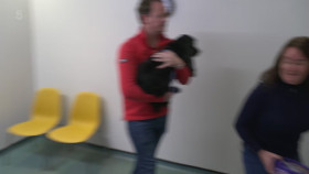 The Yorkshire Vet S18E10 1080p HEVC x265-MeGusta EZTV