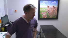 The Yorkshire Vet S18E10 XviD-AFG EZTV