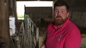 The Yorkshire Vet S18E11 Wedding Bells and Cow Bells 1080p HEVC x265-MeGusta EZTV